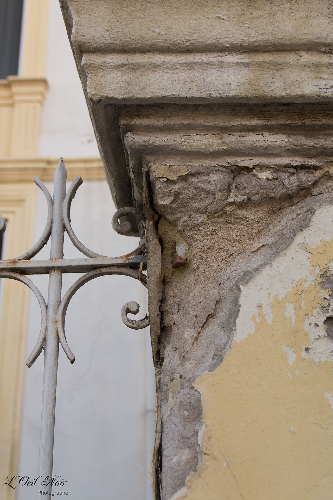 L' Oeil Noir Photographe